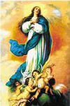  Immaculada Concepció de Santa Maria Verge 
