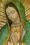 Mare de Déu de  Guadalupe 